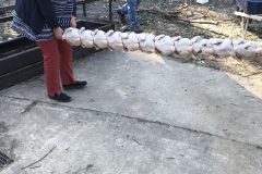 2018-oct-big-hill-festival-of-jasper-043