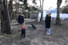 2018-oct-big-hill-festival-of-jasper-080